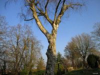 /album/fotogalerie/bildstoff-457-jpg1/